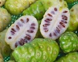 Excel_Dee's tweet photo. #Pestisida_Nabati. Berikut Cara Memanfaatkan buah Mengkudu Untuk Mengatasi hama,Ulat,Semut Merah,kutu putih,tikus,dll.

Bahan: 👇
1. 7 buah Mengkudu Yang Sudah Matang.
2. 7-10 helai daun sirsak
3. Tembakau Rokok 4-5 btg
4. 1 sdm detergen
5. 4 liter Air bersih https://t.co/37y3LIAugV