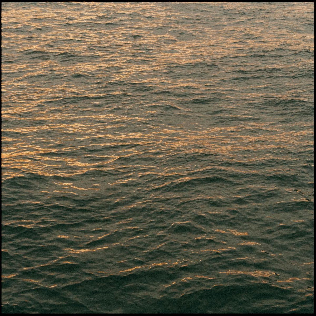 kitiwullich's tweet photo. New York City sunset.

#filmphotography #nyc #newyork #photographer https://t.co/n6DLpvztQm
