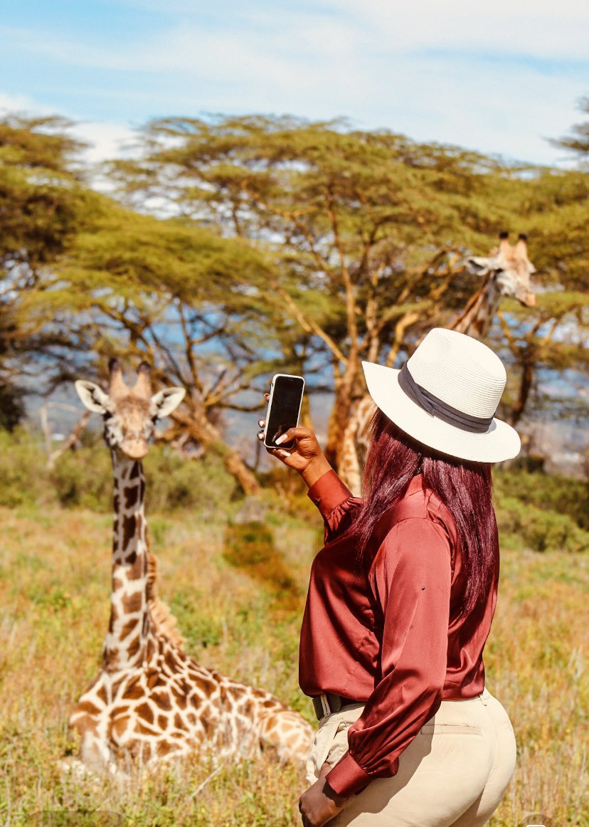 Giraffes are so pretty. I fell in love with these girlies. 🥰

<a href="/LNRKenya/">Lake Naivasha Resort (LNR)</a> 
<a href="/SuperiorHotels/">SuperiorHotelsKenya</a>