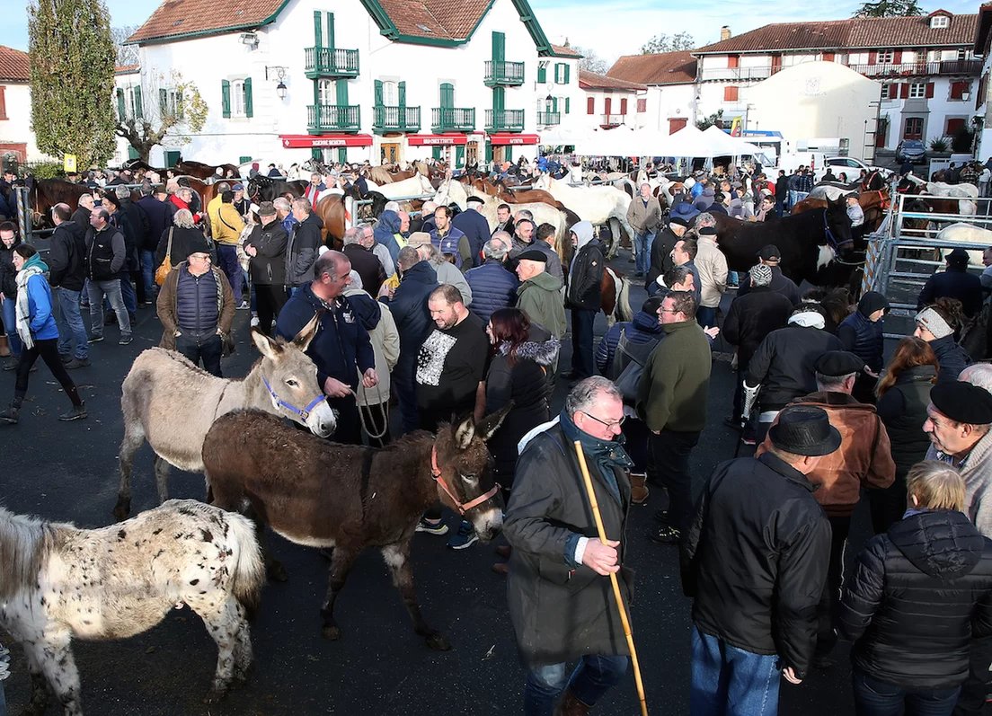MediabaskInfo's tweet photo. Hélette : édition réussie pour la foire de la Sainte-Catherine https://t.co/29xZkMJhW2 #Kabalak #equides #economie #paysbasque https://t.co/2gUA7AGKyU