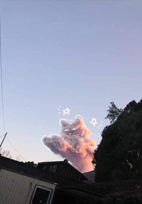 Take_Meow_Hand's tweet photo. This cloud looks like a meow 😛😛😛 https://t.co/MvTghAaZXh