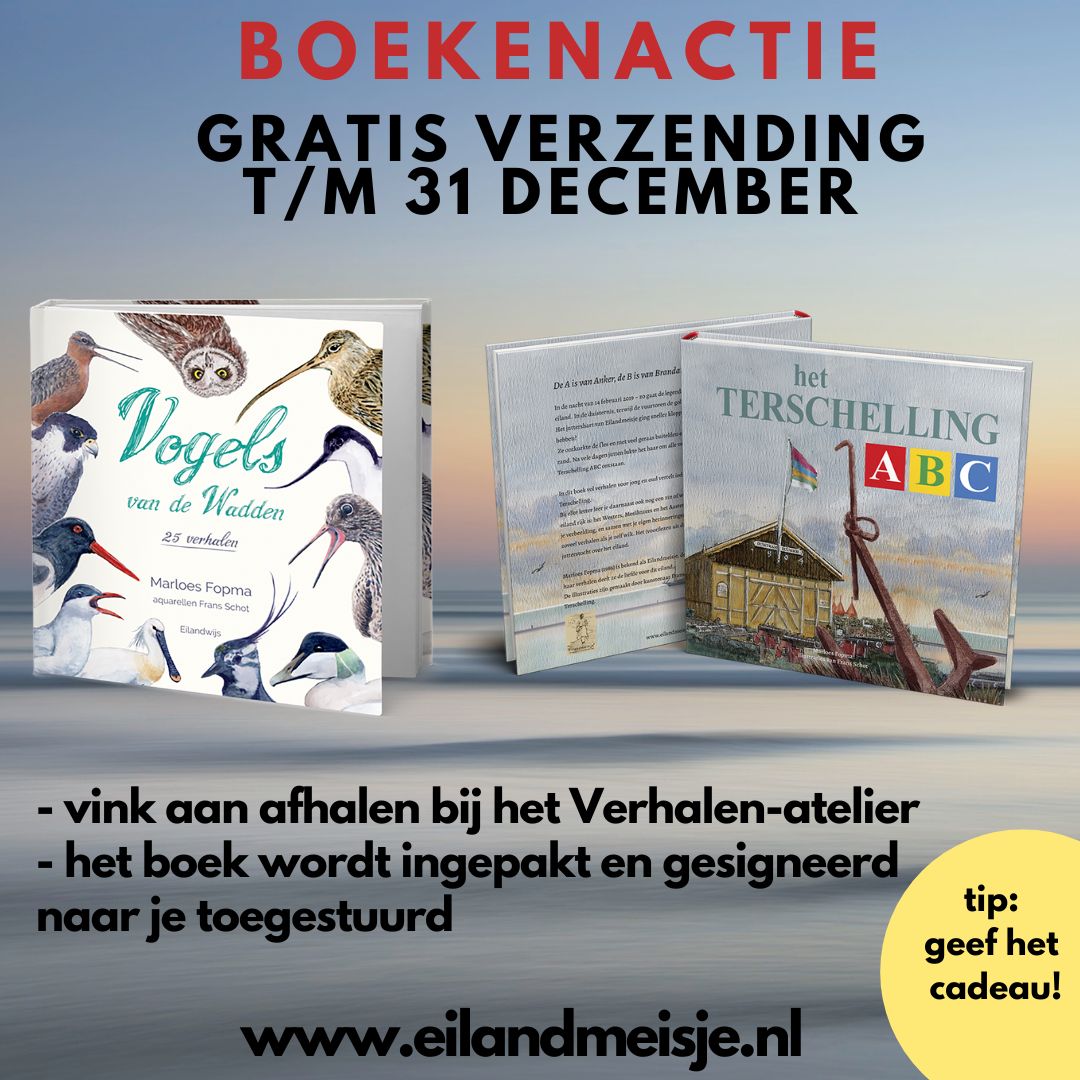 Lees hier het verhaal van de wulp en meer! Aangespoeld: verhalen van Eilandmeisje, november 2022 - mailchi.mp/0b1820e81ea0/a… #terschelling #wadden #wadvogels #eilandmeisje #wad #eilandleven #vogels #wulp