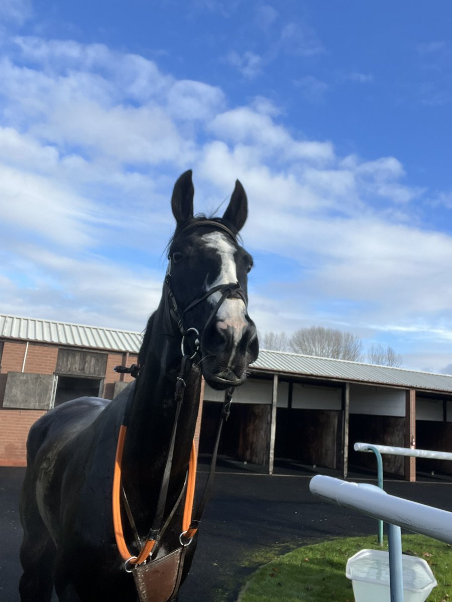 willy_twiston's tweet photo. EarlOfTheCotswolds enjoyed his away day , gearing back up for @awchamps . 
🤞 he can defend his Marathon Finals crown. @ged_mason @chriskiely500 @DannyGreer17 https://t.co/ZFSsfE7vMD