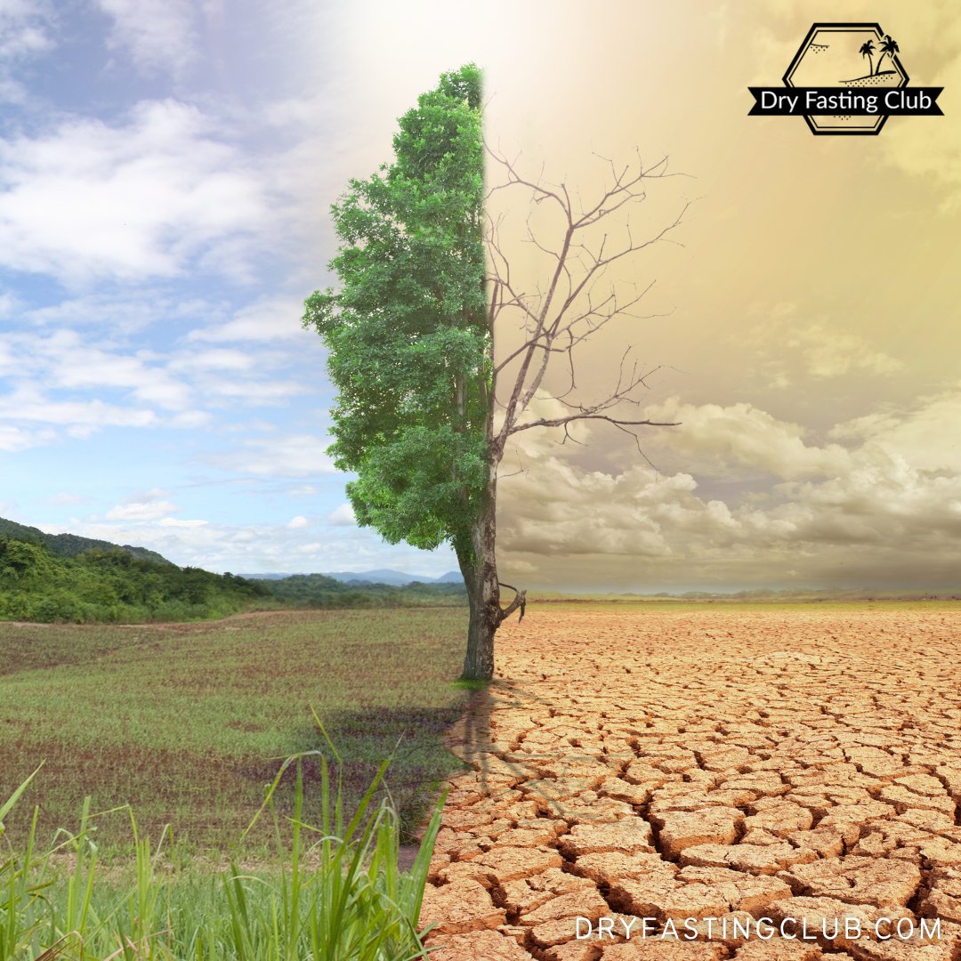 DryFastingClub's tweet photo. The most significant difference between someone who does a #dryfast and a #waterfast is that the #cleansingprocess with a dry fast is more intense. The body undergoes such an extreme calorie-restrictive situation that it speeds up #autophagy.
Read more๐ https://t.co/v7f2Ag5qQ4 https://t.co/Tfc0gzFZ7a