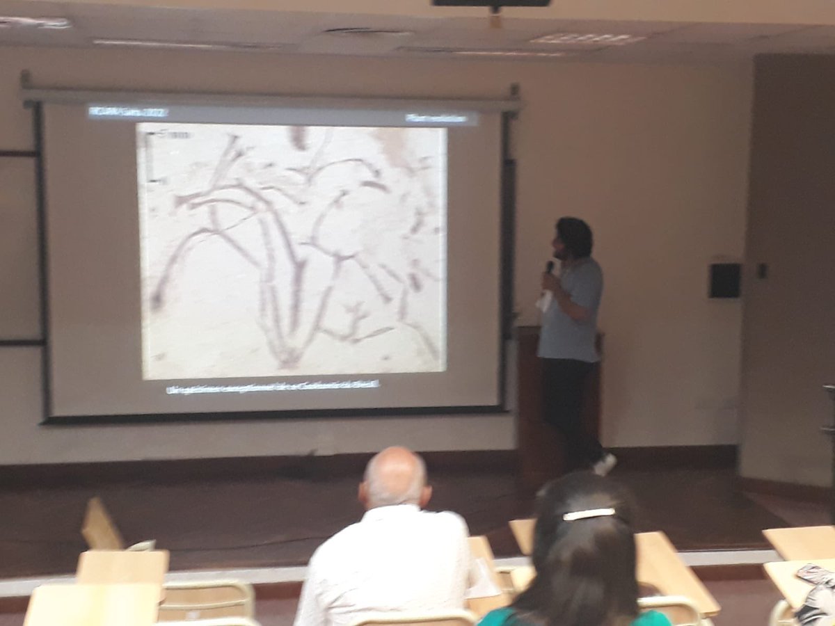 Last week, I had the opportunity to give a plenary talk about the evolution of plants up to the end of the Devonian <a href="/rcapa2022/">rcapa2022</a> in Salta Province, Argentina !