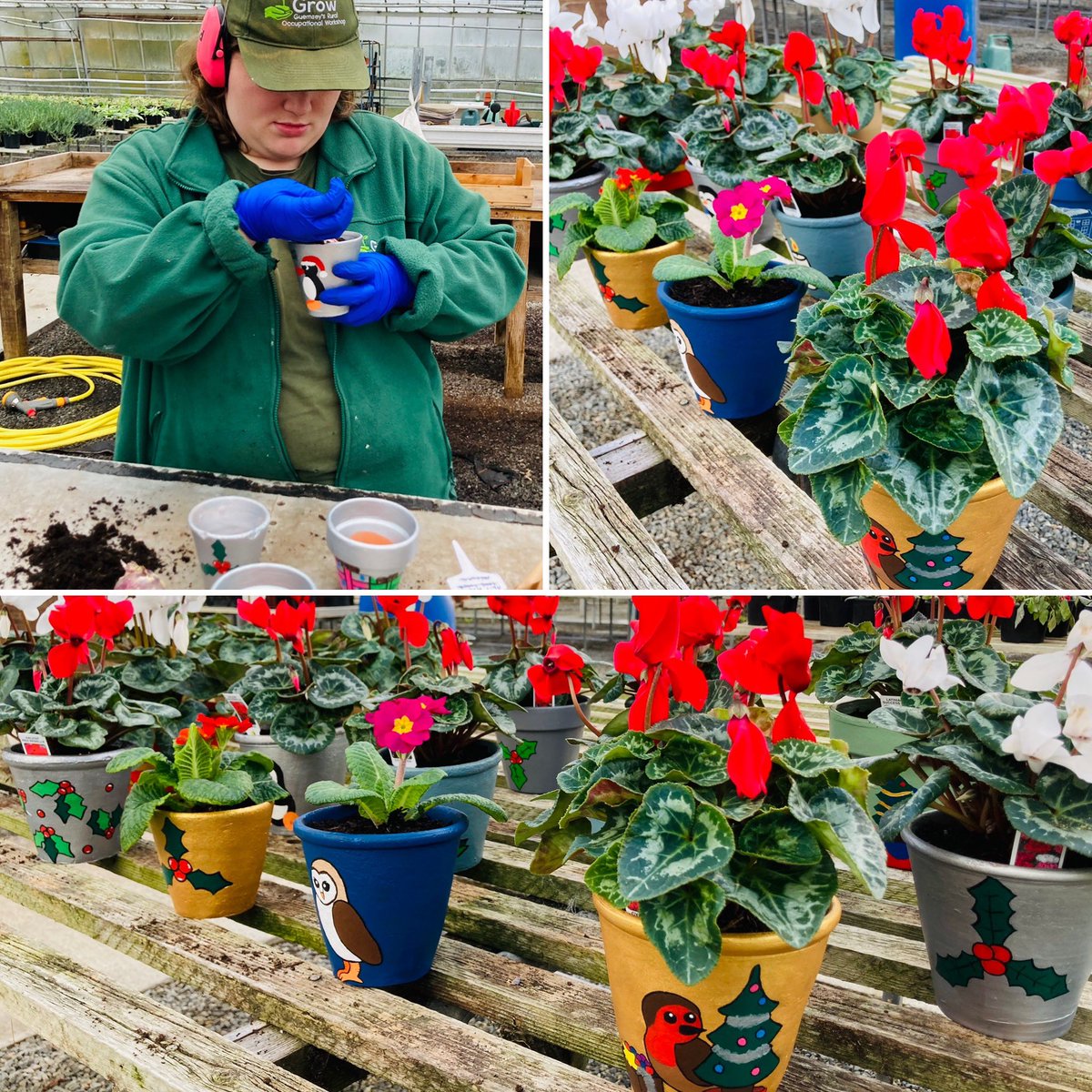 grow_ltd's tweet photo. Only a few days left before the @grow_ltd Christmas Fayre πWill we see you there? Santa would love to meet youπ
We have all been busy making our gorgeous #ChristmasPots & today we are starting to make #ChristmasWreaths
#guernseychristmasfayre #fundraisingevent #funonasaturday https://t.co/ZULi8CbCBR