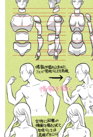 次のおすすめ本
解剖学だけど、漫画寄りの本なのでやっとキャラらしきものを描いた気がする🙄 