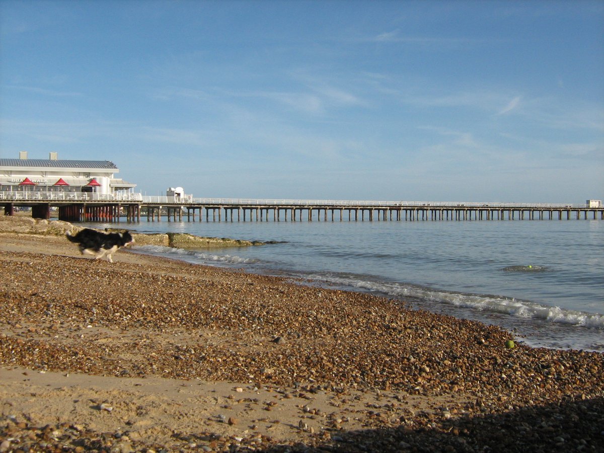 jonnyald's tweet photo. down on Felixstowe beach #colliedog #pebbleman #oldgroyne #oldpier #horizon #lifesgreat #suffolk #coast https://t.co/vAHxN5zCs1