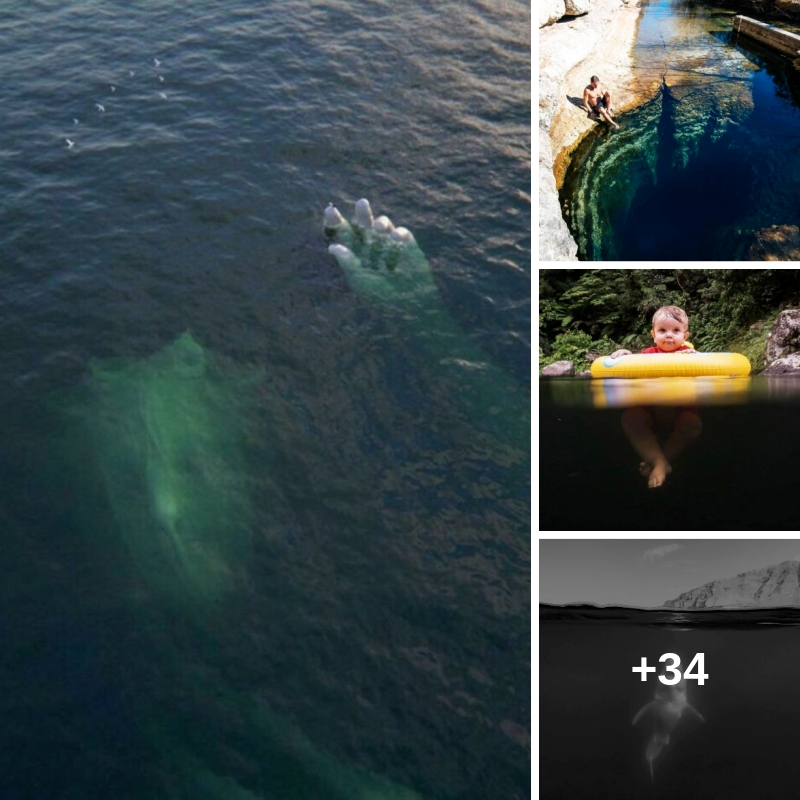 24_7mirror's tweet photo. These unsettling scenes may be rare, but you know that the ocean is always unpredictable 😱