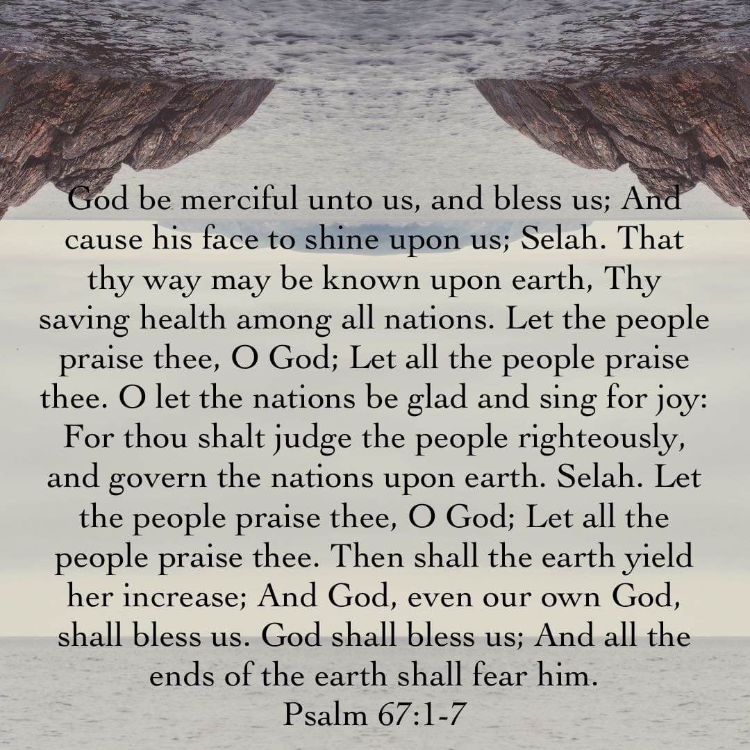 niranfoster's tweet image. 