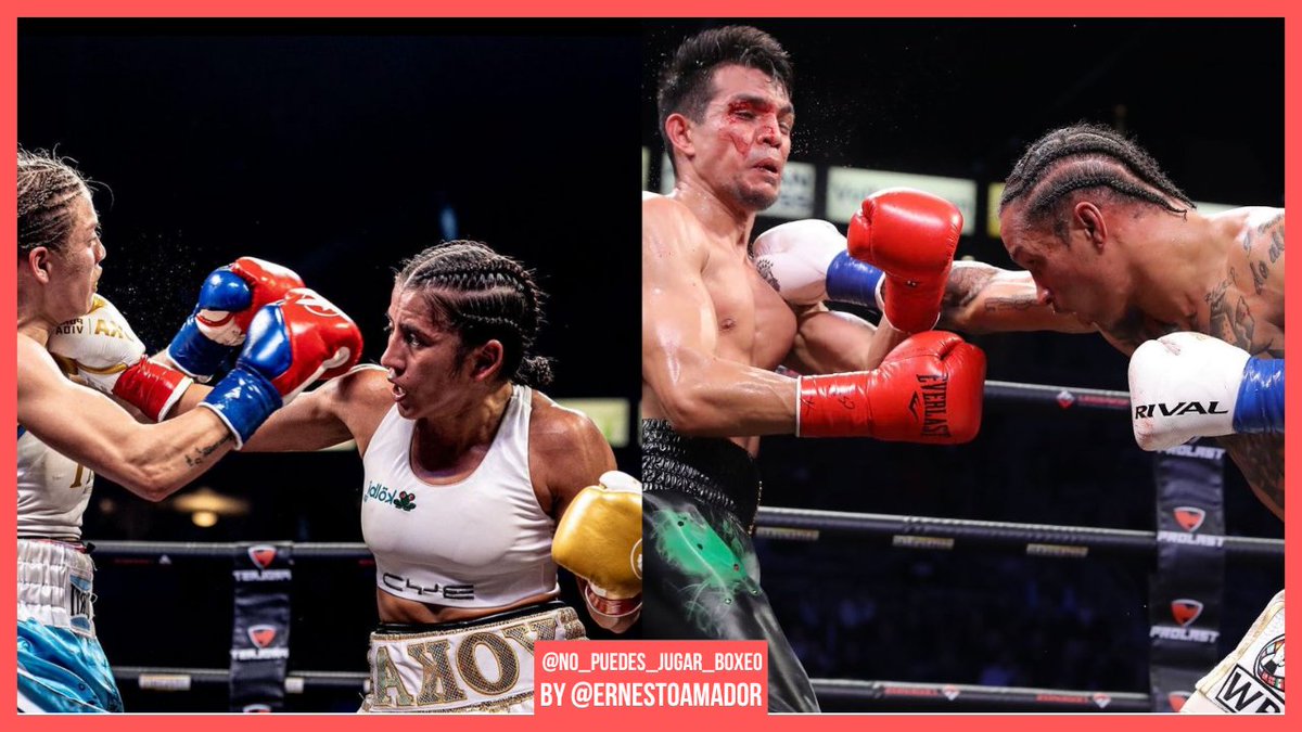 NPJBoxeo's tweet photo. Victorias de Yokasta Valle y Regis Prograis este sábado
#boxoe #boxing https://t.co/o5B68BfX6F