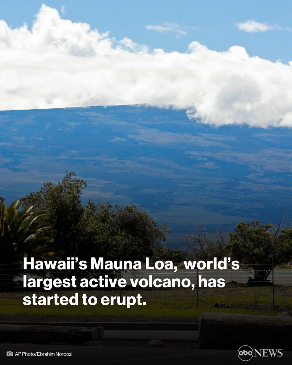 JUST IN: Hawaii’s Mauna Loa, the world’s largest active volcano, has started to erupt, prompting volcanic ash and debris to fall nearby, authorities said Monday. During a 1950 eruption, the mountain’s lava traveled 15 miles in less than three hours. abcn.ws/3Xw8n8q