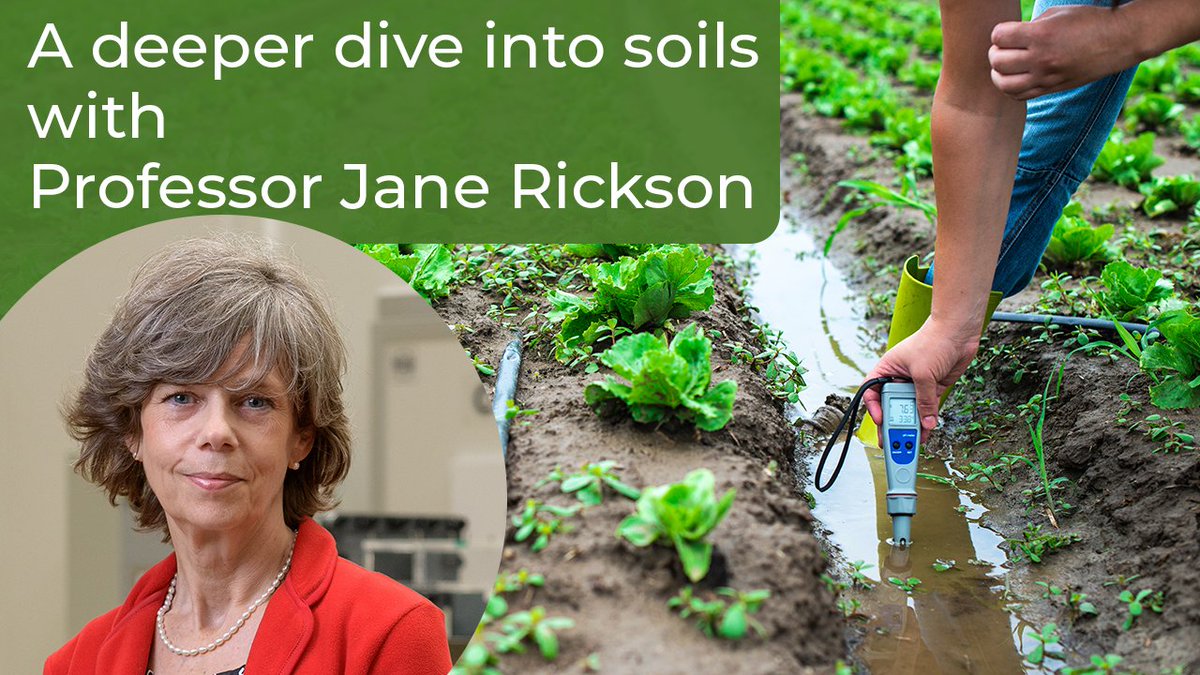 Did you know it’s #WorldSoilDay on the 5th Dec! 🥳🌱

In preparation, why not have a read of this brilliant blog, featuring our very own Board Member, Professor Jane Rickson. <a href="/CranfieldUni/">Cranfield University</a> and <a href="/Eleanor_eco/">Eleanor Marks</a>

#soilhealth #climatepositive #integrated #regen 

leaf.eco/news-and-media…