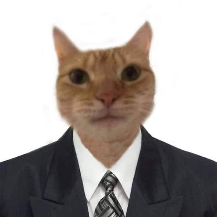 dientedelech3's tweet photo. Bueno biches, me van a invitar a comer y pues, roguemos que termine en revolcada. https://t.co/50NJAMMpqQ