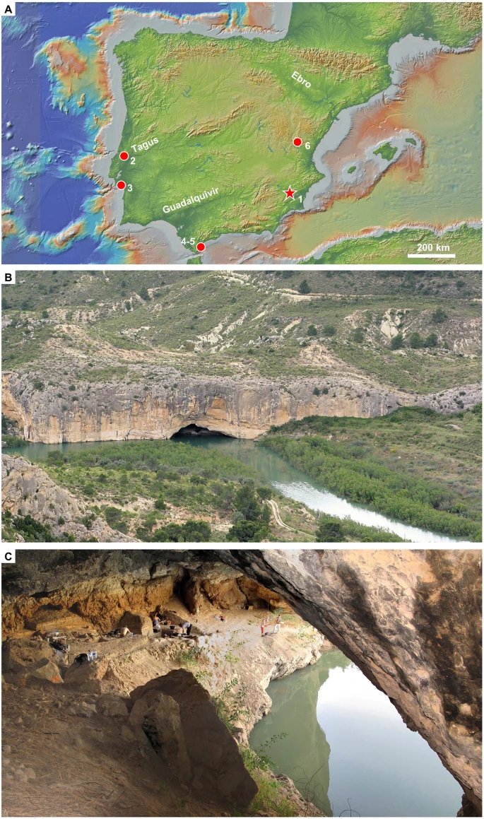 robertosaezm's tweet photo. Hace 78-81 ka, los neandertales en Cueva Antón (Murcia, sur de España) fabricaban y modificaban herramientas líticas ergonómicamente para adaptarlas a las tareas, dividían el espacio en zonas de descanso y de trabajo, y utilizaban el sitio con distintas funciones... 🧵 https://t.co/VsRnqr7RON