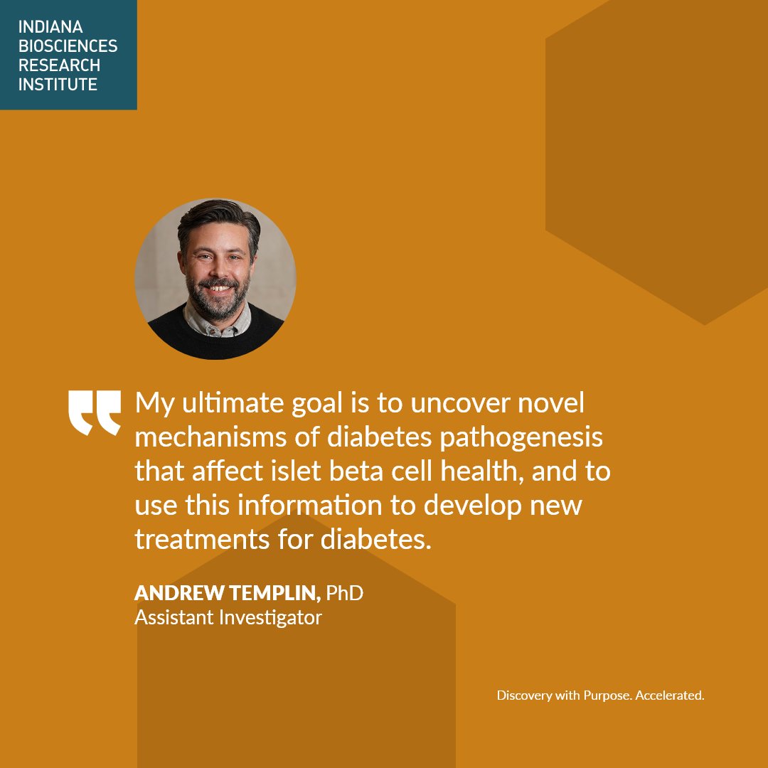 INBiosciences's tweet photo. We greatly appreciate the drive Andrew Templin, PhD, and his team have to develop new treatments for diabetes. #templinlab #discoverywithpurpose #diabetesawarenessmonth #diabetes https://t.co/cvvmlmNtU8