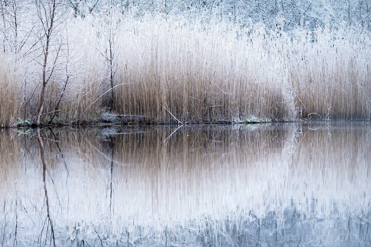 Last Sunday's frosty outing at <a href="/BergenGardens/">Bergen University Gardens</a> with a telelens. Barely anything to see, improvised some landscape reflections  at 300mm. Can't ignore any longer that the dreaded season of quiet woodlands and long nights has arrived...