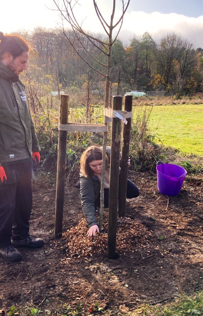 RichardShawLD's tweet image. This morning Cllr @sophthor and I attended the planting of a Field Maple tree by Beauchief Environment Group (BEG) at Beauchief Allotments, to commemorate the reign of HM Queen Elizabeth II.