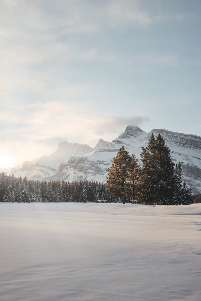 crisp mornings.