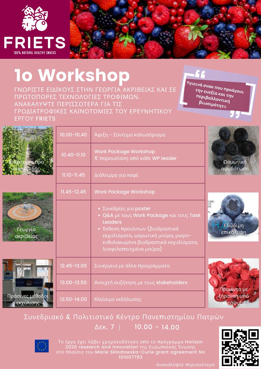 Πρόγραμμα 1ου FRIETS WORKSHOP @Συνεδριακό και Πολιτιστικό Κέντρο Πανεπιστημίου Πατρών στις 7 Δεκεμβρίου 2022 lnkd.in/dfey5PcM
