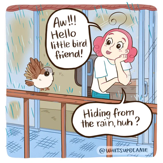 Bird friend (1/2) 