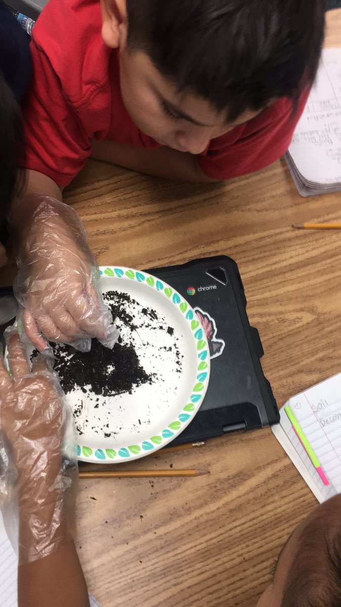 arlenetyndall's tweet image. Soil investigation…discovering how humus is made from the things we put in our tub to decompose @KirkElementary #thirdgradescience #KirkCan #handsonlearning