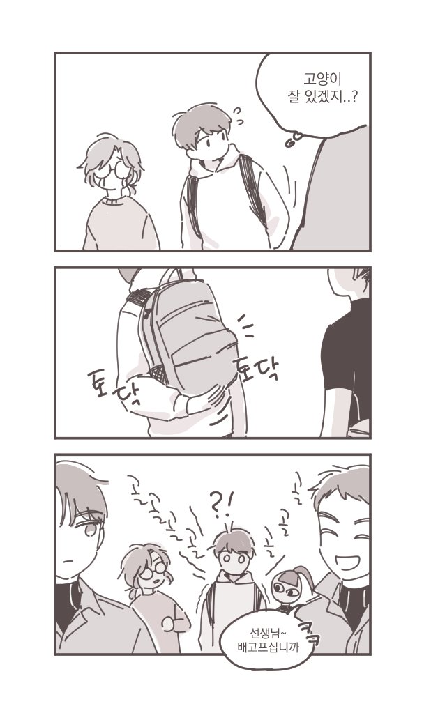 고양이가방에들어가신다