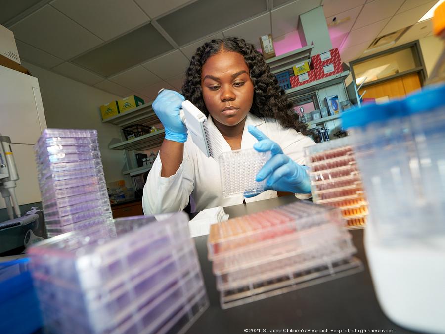 stjudegraduate's tweet photo. Dominican-born PhD candidate @maria_smith767 is hoping to address the shortage of infectious disease research conducted in Caribbean countries and develop cost-effective treatments for overlooked populations. Read her inspiring story: https://t.co/vURNsawP60 @SSCLabQuips @DNONews https://t.co/ubpFsN2yOO