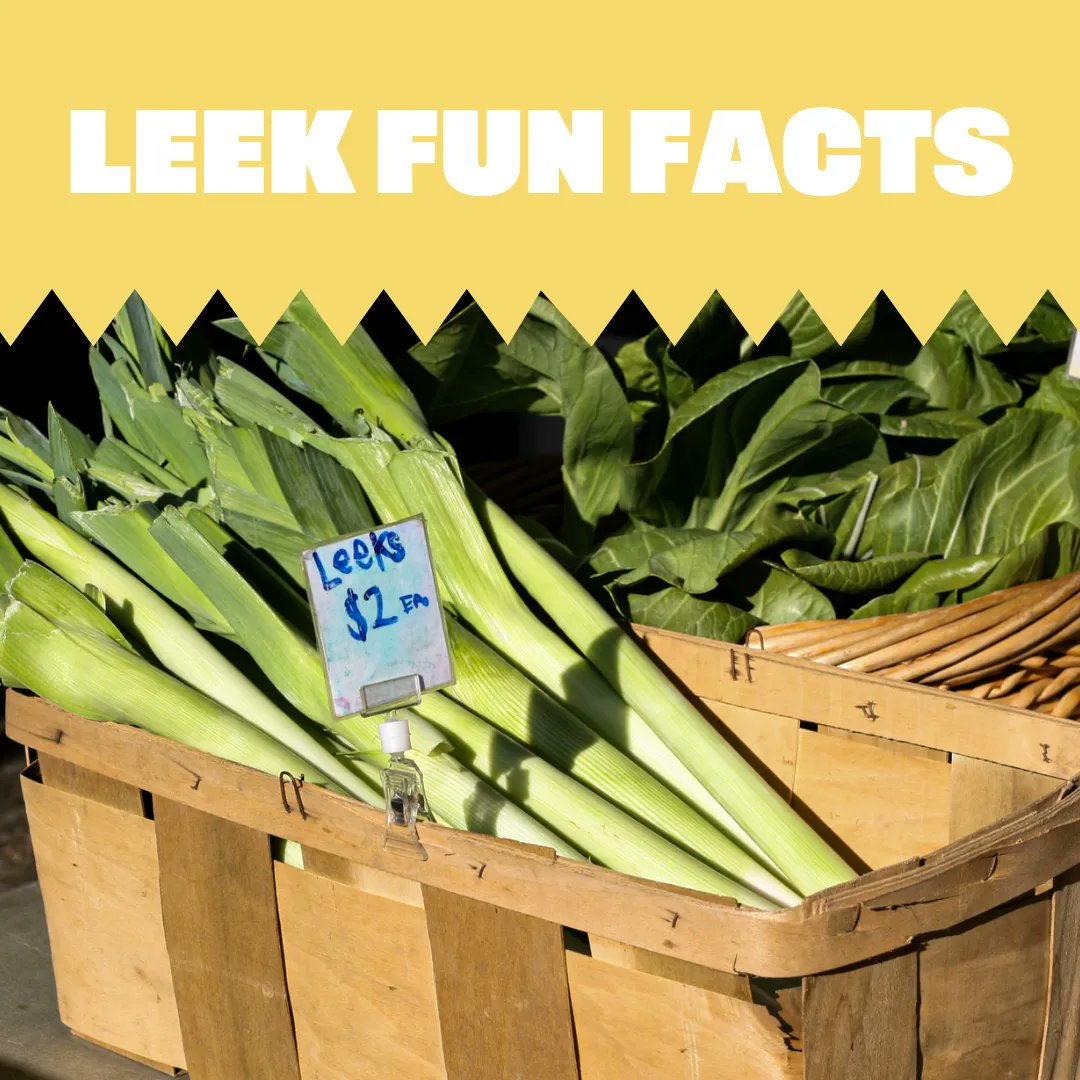 Today we're highlighting a vegetable that's a staple in soups and stews, and that we think needs more love! The flavor of leeks is commonly compared to onions with a sweeter and lighter taste. 

Are you a leek fan? Share your favorite way to cook with them in the comments!
