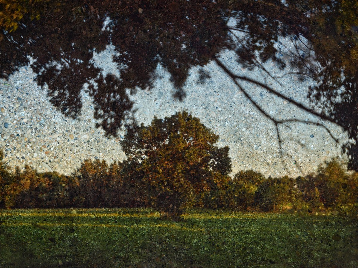 Abelardo Morell tweet media