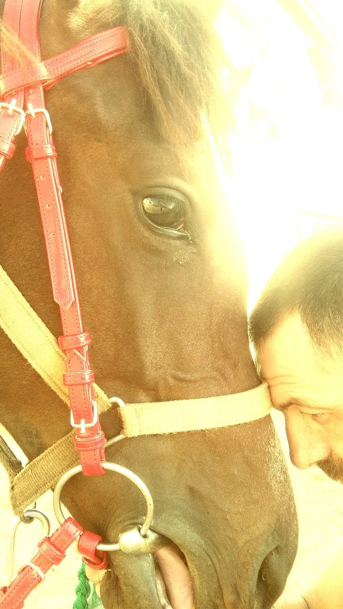 Bize dost lazım çakal heryer de var  😀😀😀