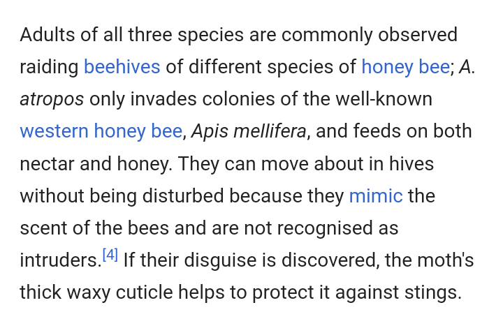 BugsAreBeautiful tweet media