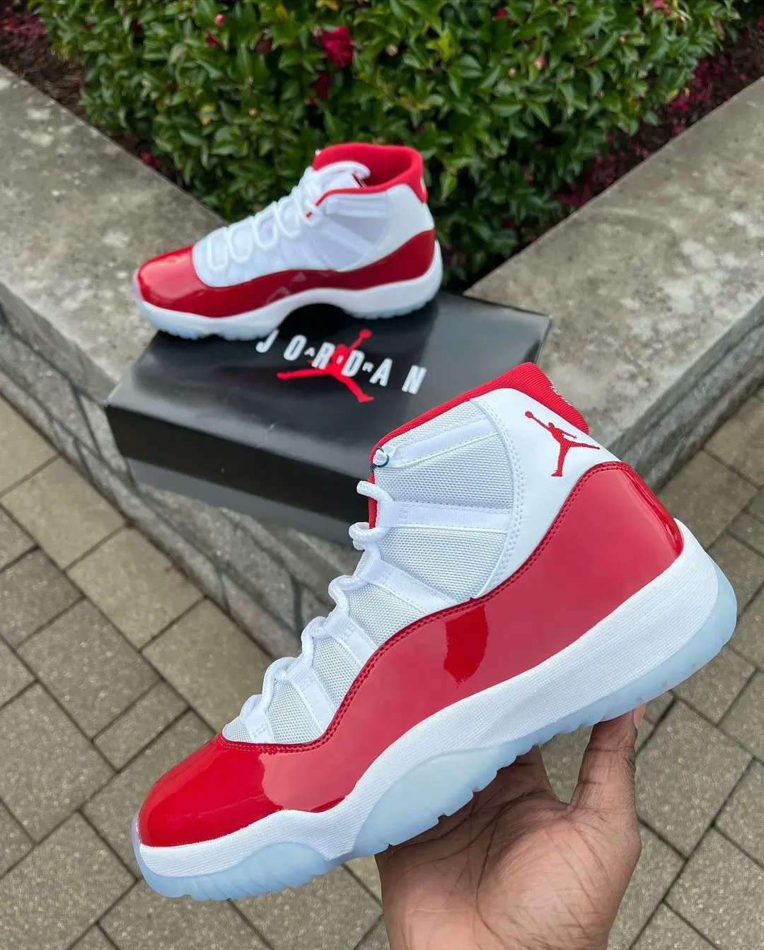 cherry blossom jordan 11