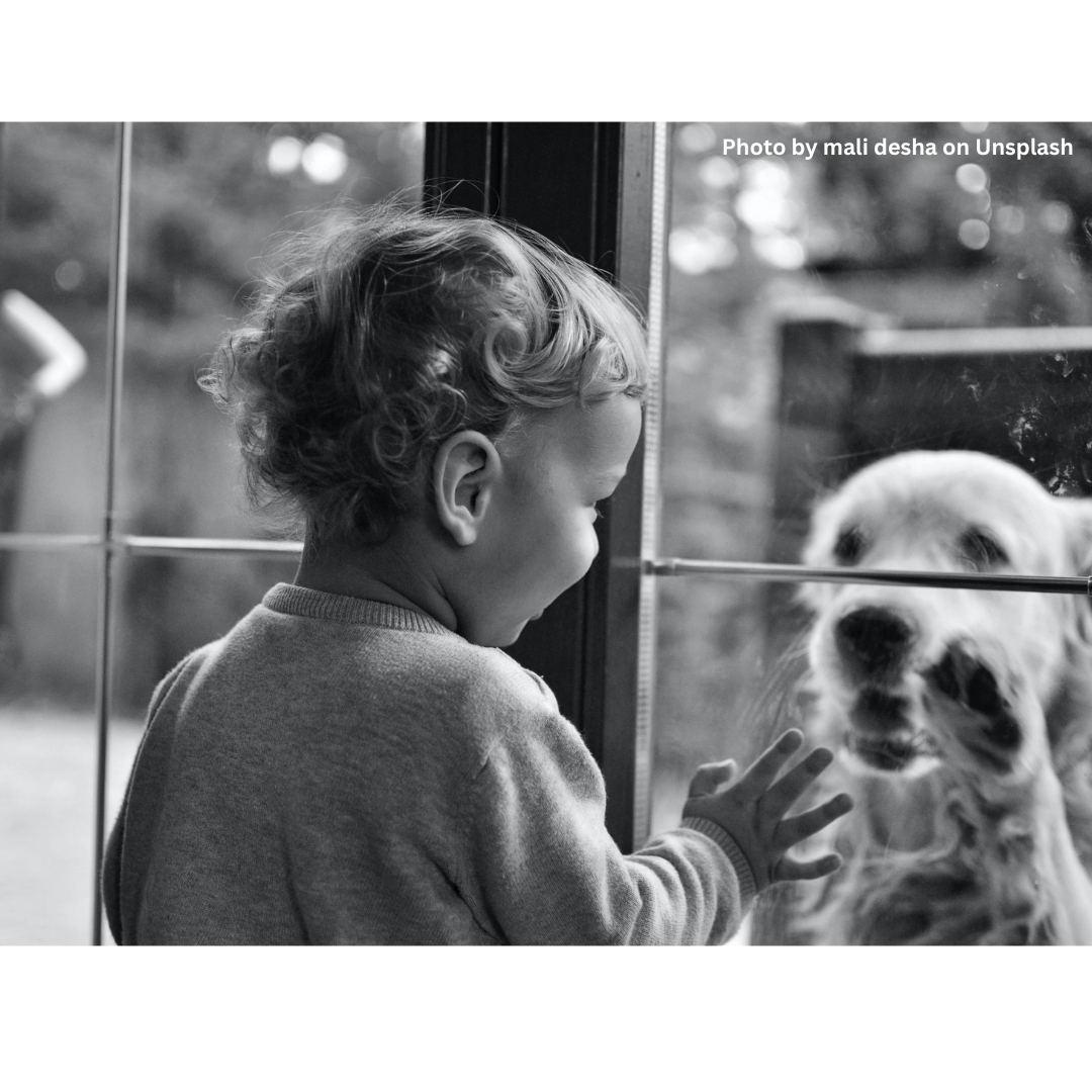📢Pet Fact

A 2015 study in Japan showed dogs oxytocin "love hormone" levels spike when around humans and other dogs they have a bond with 🥺