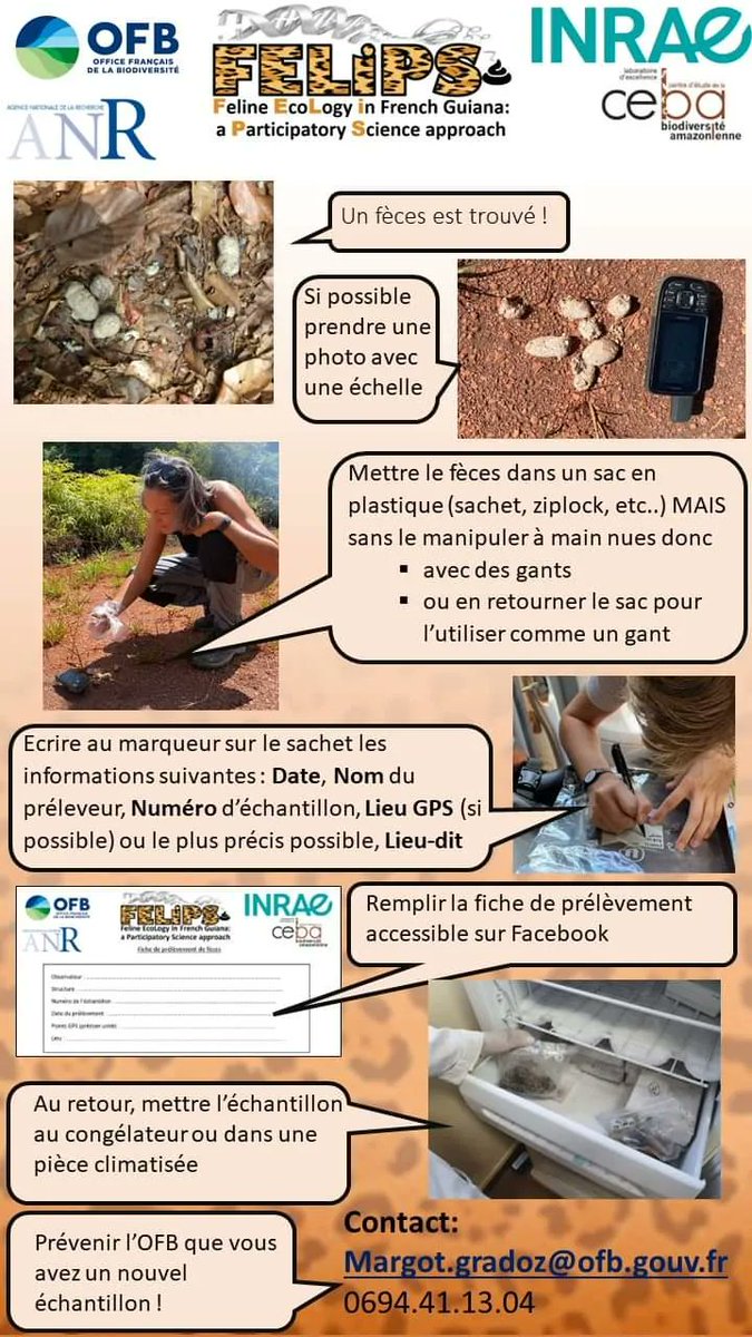 ComAuCarre's tweet photo. Protocole pour participer au projet de recherche #FELiPS sur les #felins de #Guyane
Plus d'infos sur le Facebook du projet : @felins2Guyane https://t.co/4eagSJAeQn