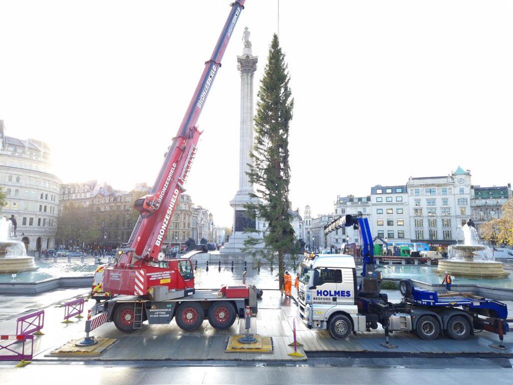 Judging by the photos of the Trafalgar Square Christmas tree being felled last week in Norway and arriving today, it’s been transported as hand luggage on Ryanair… (Photos @UKinNorway and @danbarker)