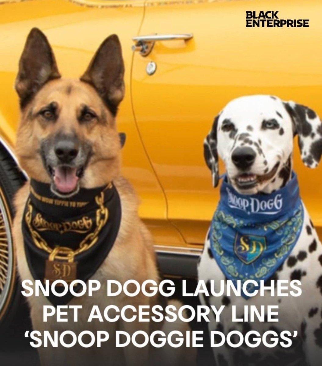 vetswithpets00's tweet photo. Who Let the #Dogs Out? Snoop. Rapper Snoop Dogg Launches #PetAccessory Line | @BlackEnterprise

What’s the use of being named #SnoopDogg if you can’t capitalize off of it? 

https://t.co/3Wx2u0TsM6
#dogowner #vetswithpets #pets https://t.co/U0Auj1GG0M