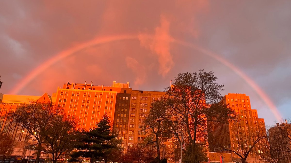 Herbert Irving Comprehensive Cancer Center tweet media
