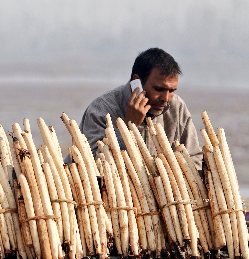 basiitzargar's tweet photo. A man sells lotus stem on a cold day in Srinagar https://t.co/52XO9keGlH