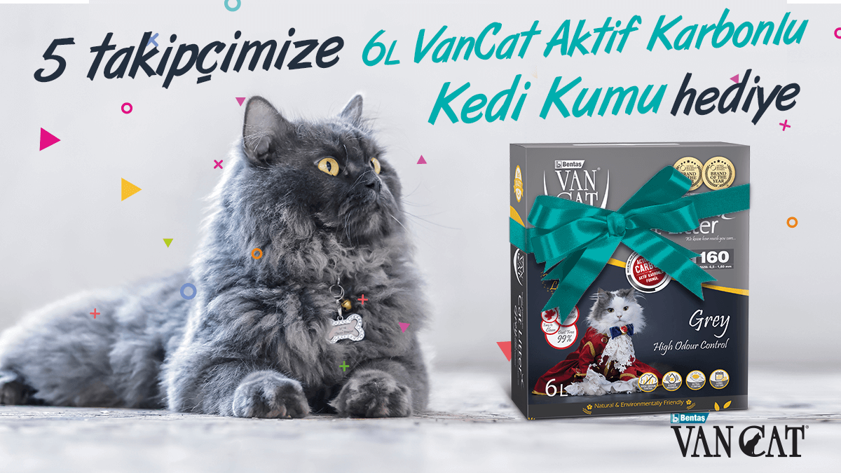 VanCat Kasım Çekilişi 🎁😻⁠
⁠
Sen de hemen çekiliş biletlerini topla, 6L VanCat Aktif Karbonlu Kedi kumu kazanacak 15 kişiden biri olma şansını kaçırma! 🐈
⁠
Katılmak için ➡  bentas.co/cekilis