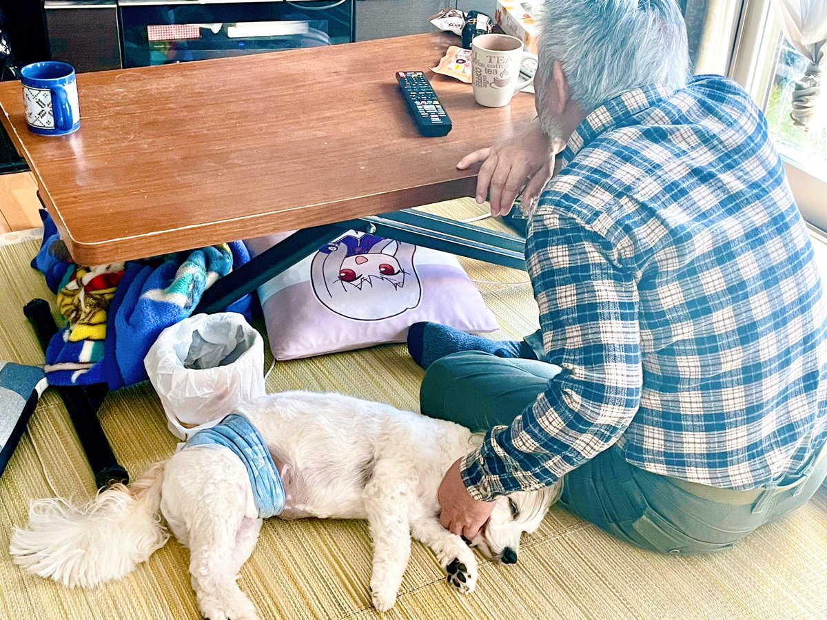 「父といぬ父、犬可愛くないって言う割に可愛がってるやつ 」|鶴村いちるのイラスト