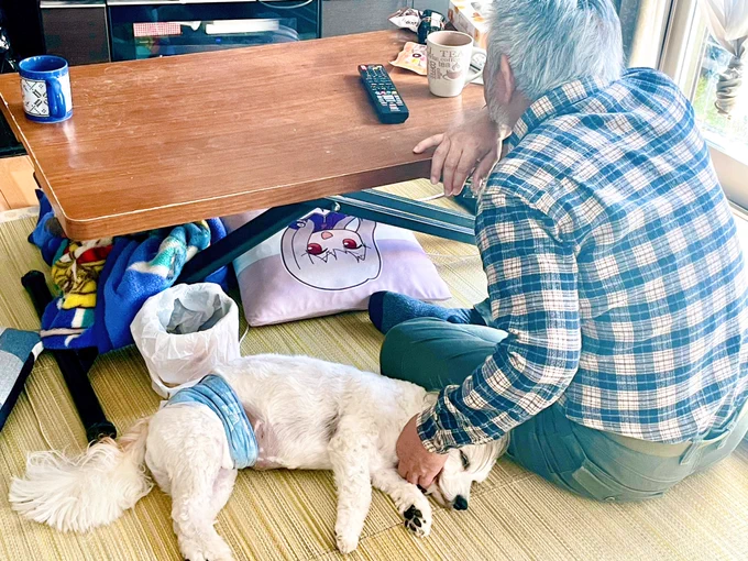 父といぬ父、犬可愛くないって言う割に可愛がってるやつ 