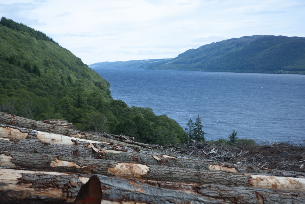 ForestryLS's tweet photo. Tune in to BBC Landward this week to see more about our climate adaption works at the A82. 

➡️ Thurs 1 Dec - BBC Scotland - 8:30pm (iPlayer soon after)
➡️ Sat 3 Dec - BBC One - 2pm
➡️ Sun 4 Dec - BBC Two - 8:15am

@MairiMcAllan #SustainableForestry #ClimateAdaption https://t.co/yhqFlxSRBI