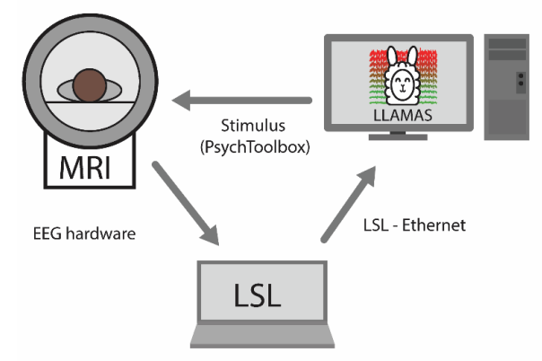 Laura Lewis tweet media