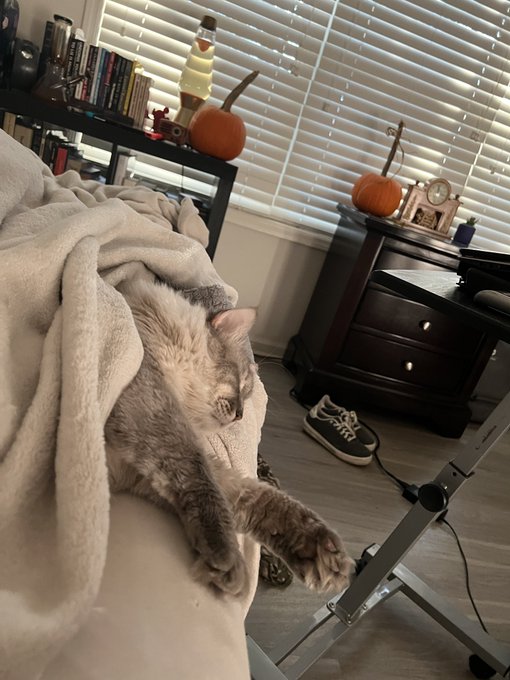 Good morning https://t.co/ZMpeNVoSds<a href="/tag/tittytuesday"class="tags"><span>#tittytuesday</span></a>