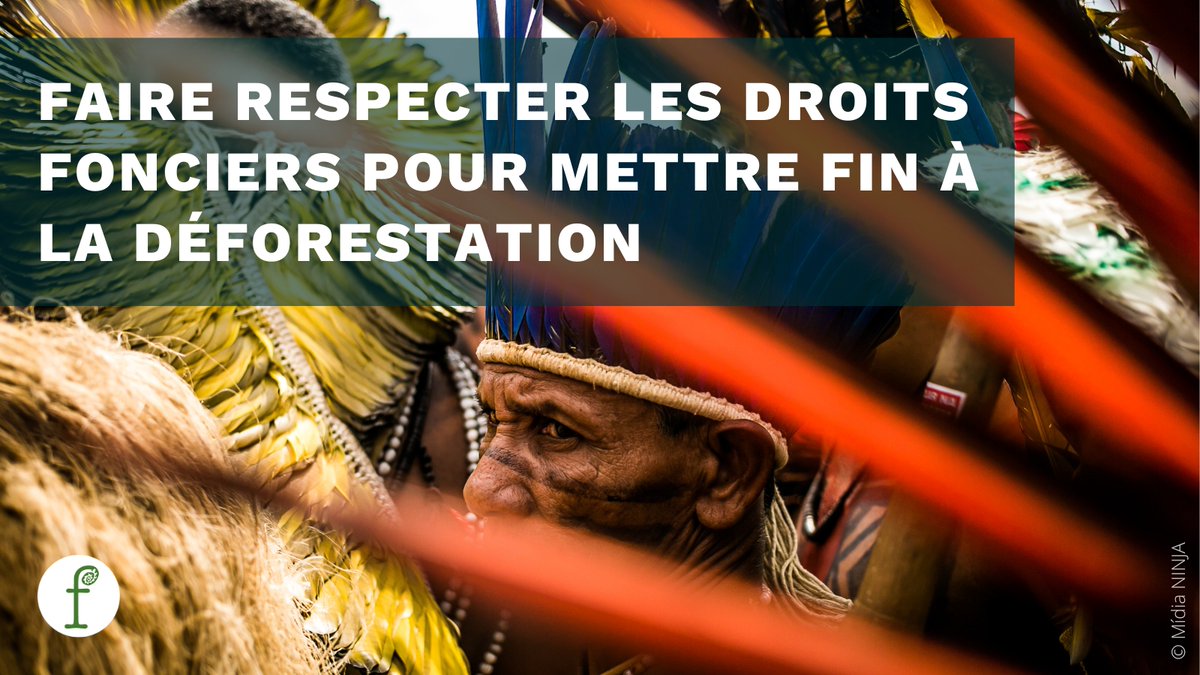 Fern (@fern_ngo) on Twitter photo En 2019, lors des 🔥 en Amazonie, <a href="/EmmanuelMacron/">Emmanuel Macron</a> a déclaré que « la 🇫🇷 défend les droits des autochtones ».
Aujourd'hui, on nous dit que <a href="/MFesneau/">Marc Fesneau</a> fait l’inverse ds les négo de la loi déforestation de l'UE!
Il est temps de passer de la parole aux actes.
fern.org/fr/publication… En 2019, lors des 🔥 en Amazonie, <a href="/EmmanuelMacron/">Emmanuel Macron</a> a déclaré que « la 🇫🇷 défend les droits des autochtones ».
Aujourd'hui, on nous dit que <a href="/MFesneau/">Marc Fesneau</a> fait l’inverse ds les négo de la loi déforestation de l'UE!
Il est temps de passer de la parole aux actes.
fern.org/fr/publication…