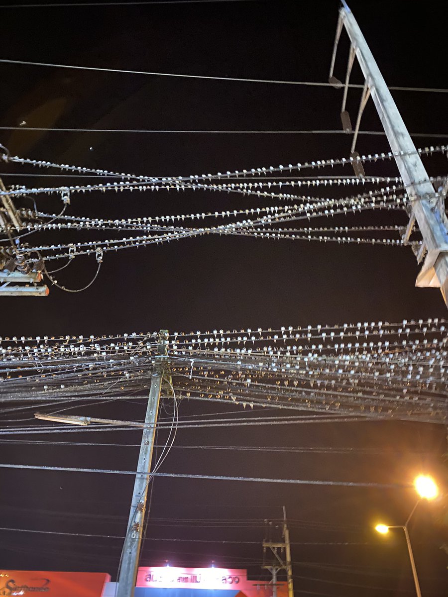 ทุกคนสิ่งนี้คือนก 😭😭😭