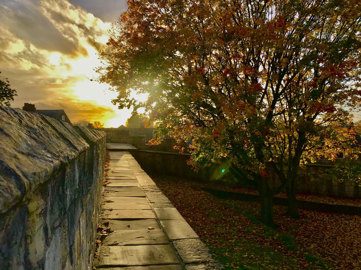 Friends of York Walls (@yorkwallsfriend) on Twitter photo New #YorkWalls #AudioTrail ยฃ1.99 โYorkโs City Walls Audio Trailโ on guide.ai app - guide ID is number 80. 27 points of interest on the walls map, and over 100 minutes of audio. #York #CityWalls #Walk <a href="/VisitYork/">โจ Visit York โจ</a> <a href="/CityofYork/">City of York Council</a> New #YorkWalls #AudioTrail ยฃ1.99 โYorkโs City Walls Audio Trailโ on guide.ai app - guide ID is number 80. 27 points of interest on the walls map, and over 100 minutes of audio. #York #CityWalls #Walk <a href="/VisitYork/">โจ Visit York โจ</a> <a href="/CityofYork/">City of York Council</a>