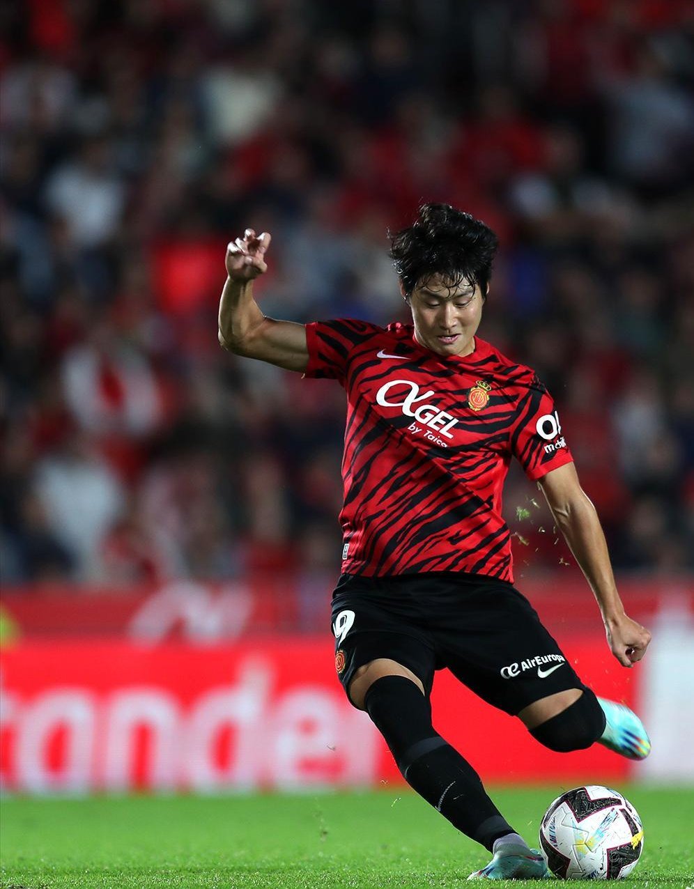 ли кан ин валенсия. ли канг ин. Kangin lee. ли канг ин. ли канг ин.