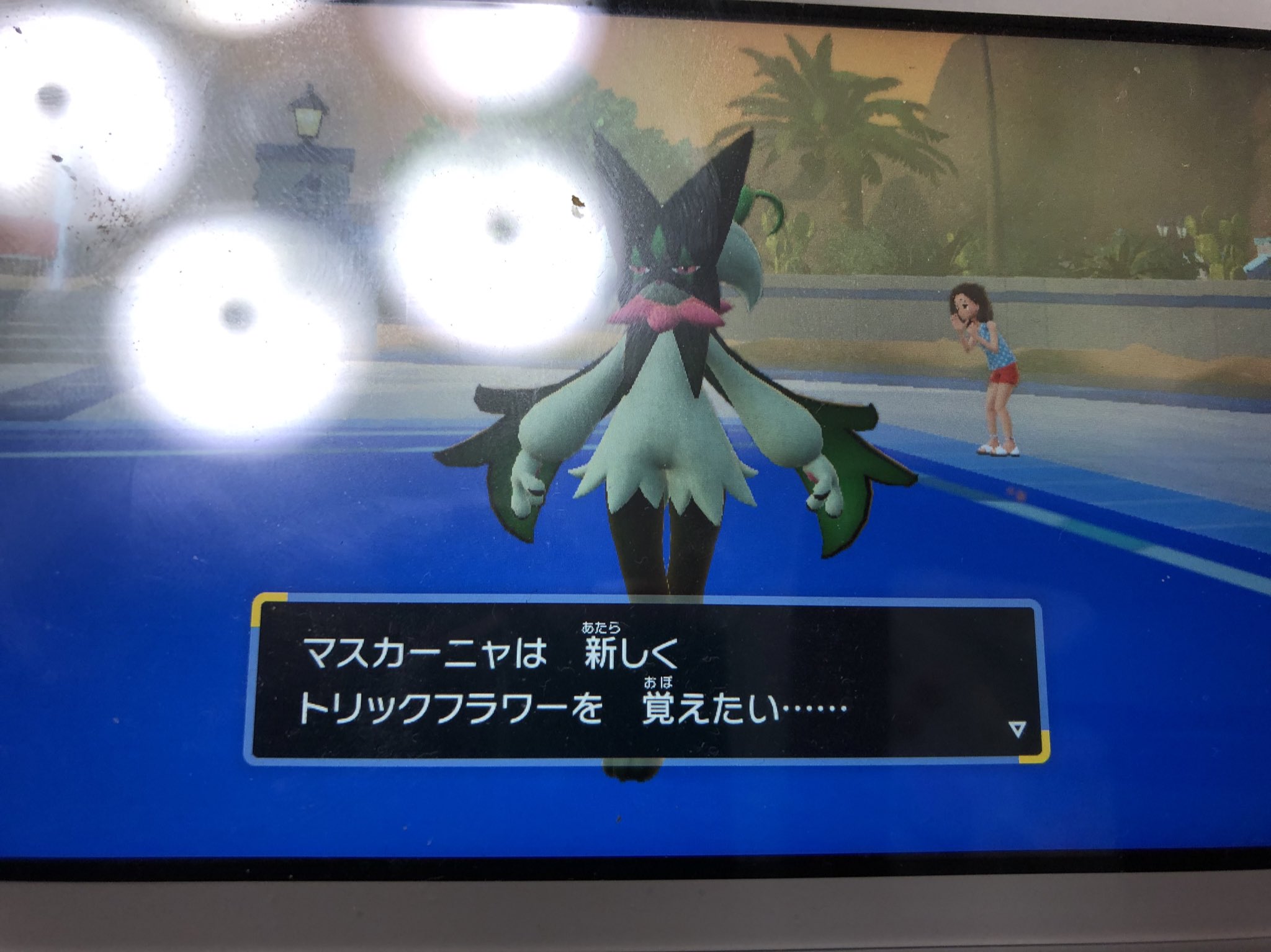 تويتر 新アニメ少年探偵団 輝きの宇宙23 على تويتر ポケモンsvプレイ11日目ー そしてニャローテがマスカーニャに ヒラヒナがクエスパトラにw進化 新技最強のトリックフラワーとルミナコリジョンを習得 キター ポケモンsv T Co Exz7h5qkyv
